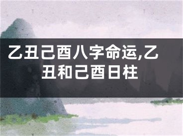乙丑己酉八字命运,乙丑和己酉日柱