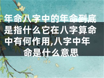 年命八字中的年命到底是指什么它在八字算命中有何作用,八字中年命是什么意思