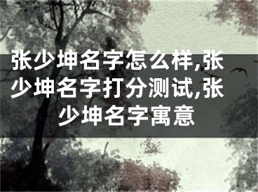 张少坤名字怎么样,张少坤名字打分测试,张少坤名字寓意