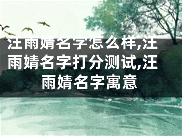 汪雨婧名字怎么样,汪雨婧名字打分测试,汪雨婧名字寓意