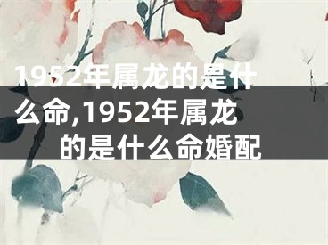 1952年属龙的是什么命,1952年属龙的是什么命婚配