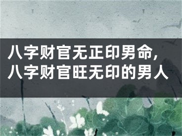 八字财官无正印男命,八字财官旺无印的男人