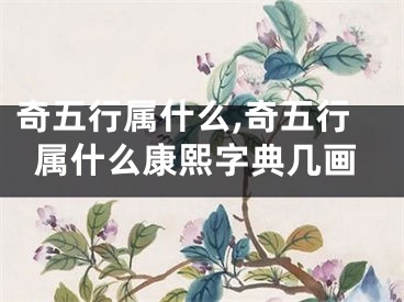 奇五行属什么,奇五行属什么康熙字典几画