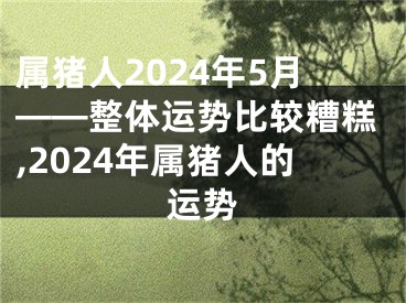 属猪人2024年5月——整体运势比较糟糕,2024年属猪人的运势