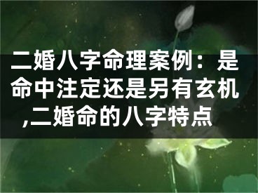 二婚八字命理案例：是命中注定还是另有玄机,二婚命的八字特点