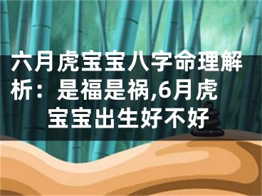 六月虎宝宝八字命理解析：是福是祸,6月虎宝宝出生好不好