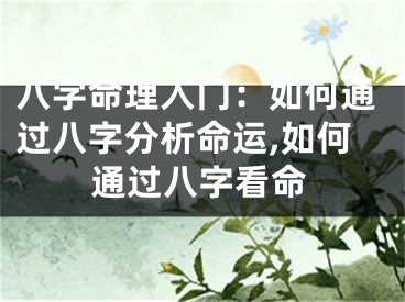 八字命理入门：如何通过八字分析命运,如何通过八字看命