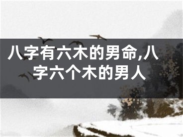 八字有六木的男命,八字六个木的男人