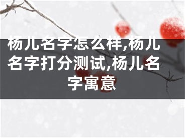 杨儿名字怎么样,杨儿名字打分测试,杨儿名字寓意