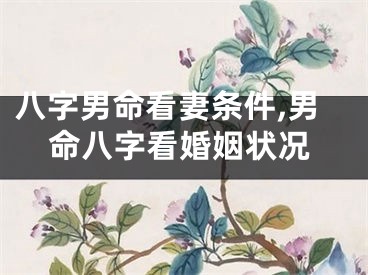 八字男命看妻条件,男命八字看婚姻状况