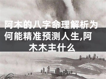 阿木的八字命理解析为何能精准预测人生,阿木木主什么