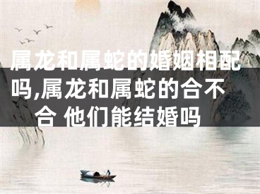 属龙和属蛇的婚姻相配吗,属龙和属蛇的合不合 他们能结婚吗