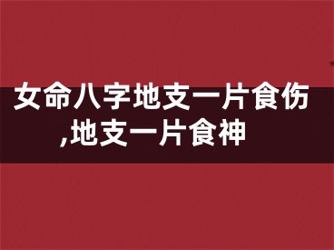 女命八字地支一片食伤,地支一片食神