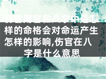 伤官用官在八字中是怎样的命格会对命运产生怎样的影响,伤官在八字是什么意思
