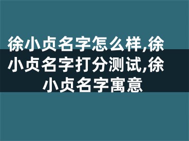 徐小贞名字怎么样,徐小贞名字打分测试,徐小贞名字寓意
