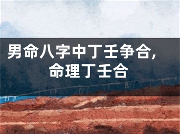 男命八字中丁壬争合,命理丁壬合
