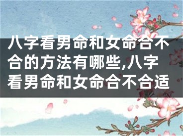 八字看男命和女命合不合的方法有哪些,八字看男命和女命合不合适