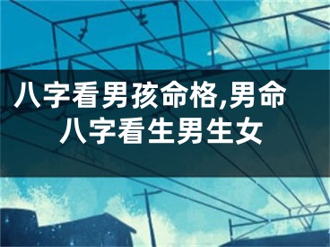 八字看男孩命格,男命八字看生男生女