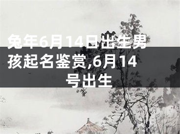 兔年6月14日出生男孩起名鉴赏,6月14号出生