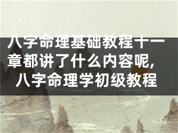 八字命理基础教程十一章都讲了什么内容呢,八字命理学初级教程