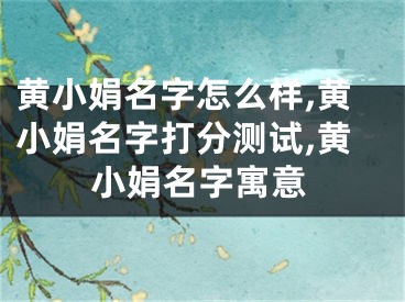 黄小娟名字怎么样,黄小娟名字打分测试,黄小娟名字寓意