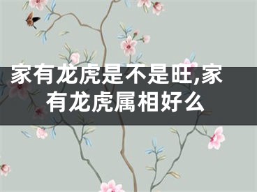 家有龙虎是不是旺,家有龙虎属相好么