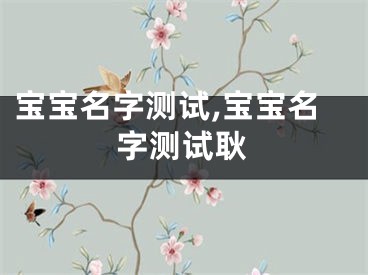 宝宝名字测试,宝宝名字测试耿