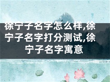 徐宁子名字怎么样,徐宁子名字打分测试,徐宁子名字寓意