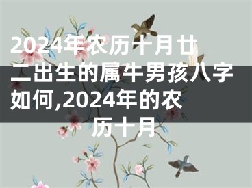 2024年农历十月廿二出生的属牛男孩八字如何,2024年的农历十月
