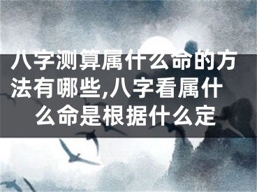 八字测算属什么命的方法有哪些,八字看属什么命是根据什么定