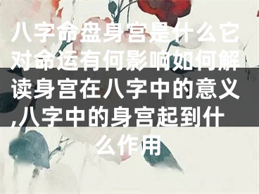 八字命盘身宫是什么它对命运有何影响如何解读身宫在八字中的意义,八字中的身宫起到什么作用