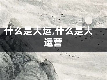 什么是大运,什么是大运营