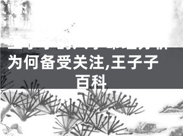 王子子的八字命理分析为何备受关注,王子子百科