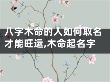 八字木命的人如何取名才能旺运,木命起名字