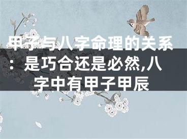 甲子与八字命理的关系：是巧合还是必然,八字中有甲子甲辰
