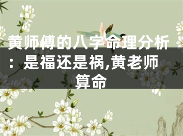 黄师傅的八字命理分析：是福还是祸,黄老师算命
