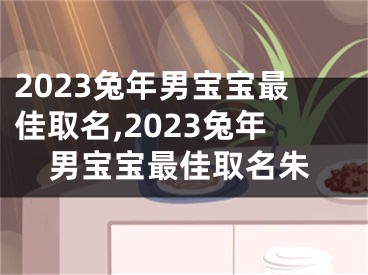 2023兔年男宝宝最佳取名,2023兔年男宝宝最佳取名朱
