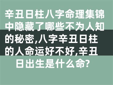 辛丑日柱八字命理集锦中隐藏了哪些不为人知的秘密,八字辛丑日柱的人命运好不好,辛丑日出生是什么命?