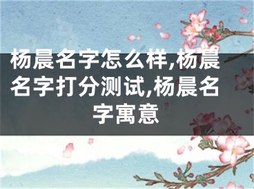 杨晨名字怎么样,杨晨名字打分测试,杨晨名字寓意