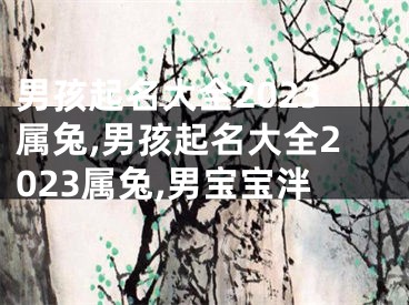 男孩起名大全2023属兔,男孩起名大全2023属兔,男宝宝泮