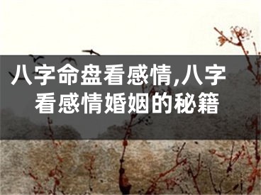 八字命盘看感情,八字看感情婚姻的秘籍