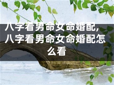八字看男命女命婚配,八字看男命女命婚配怎么看
