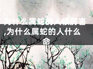 为什么属蛇的人很厉害,为什么属蛇的人什么命
