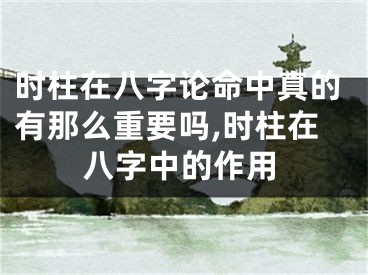 时柱在八字论命中真的有那么重要吗,时柱在八字中的作用
