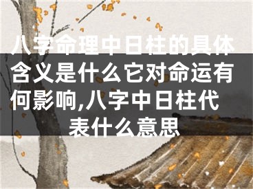八字命理中日柱的具体含义是什么它对命运有何影响,八字中日柱代表什么意思