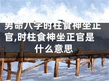 男命八字时柱食神坐正官,时柱食神坐正官是什么意思