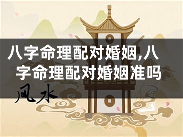 八字命理配对婚姻,八字命理配对婚姻准吗
