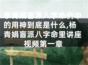 李青娟盲派八字命例中的用神到底是什么,杨青娟盲派八字命里讲座视频第一章