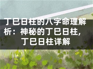 丁巳日柱的八字命理解析：神秘的丁巳日柱,丁巳日柱详解