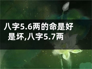 八字5.6两的命是好是坏,八字5.7两